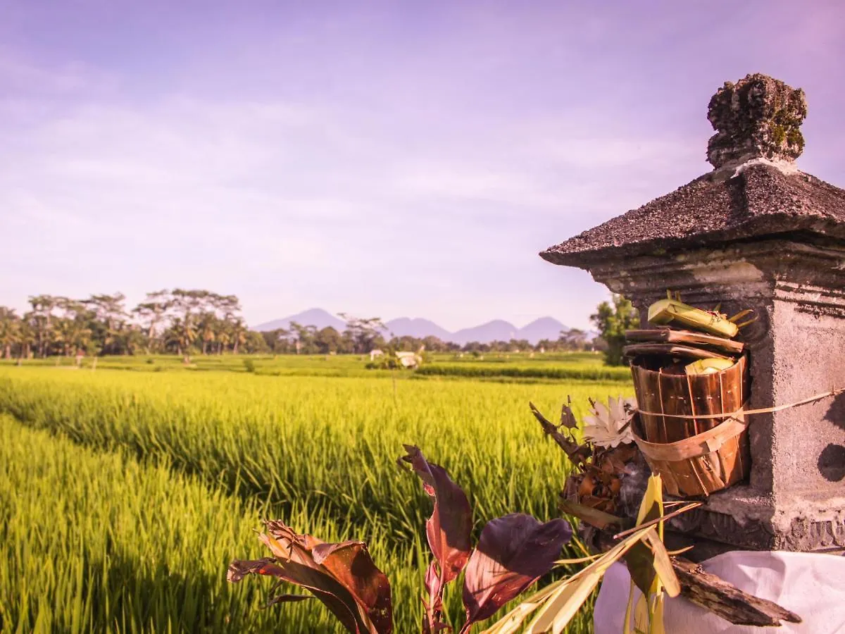 ***** Hotel Keliki Luxury Lodge Ubud  Indonesia